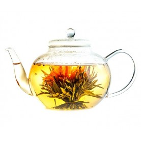 Бай Юй Лянь (Белый лотос Благоденствия)