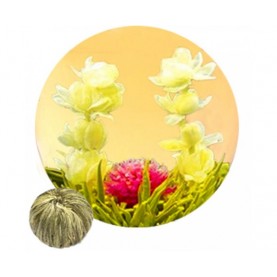 И Цзянь Чжун Цин (Любовь с первого взгляда)