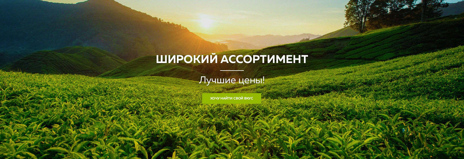 Заголовок слайда