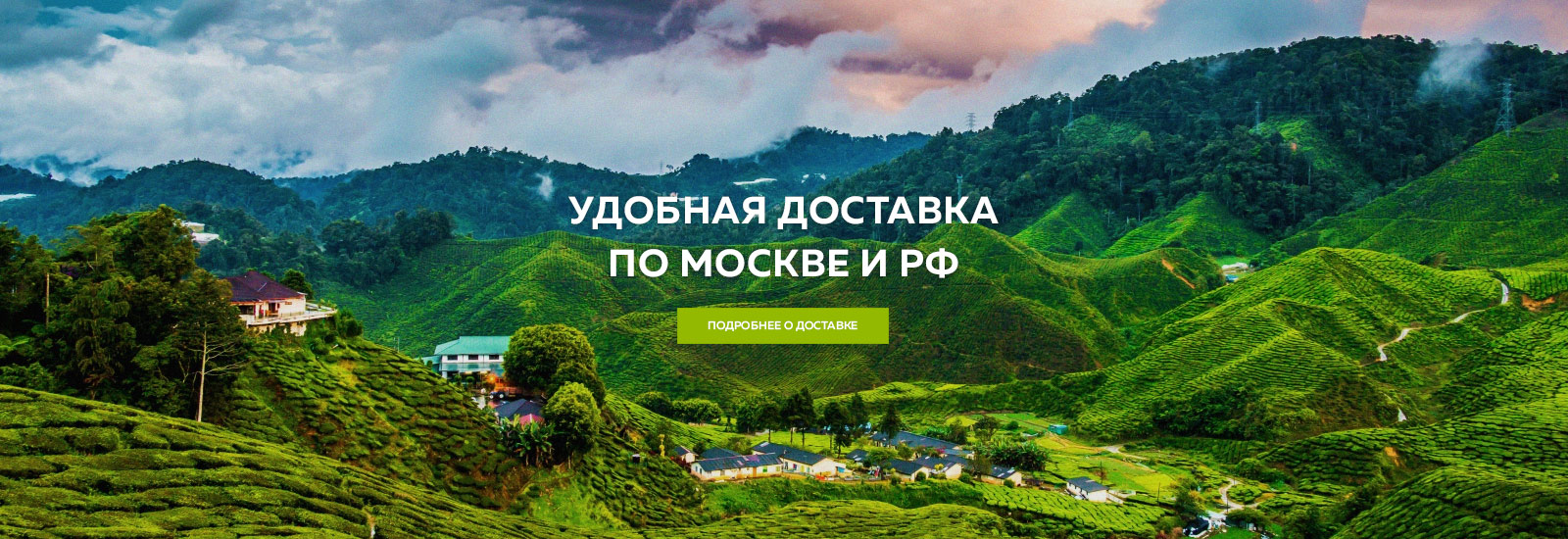 Заголовок слайда