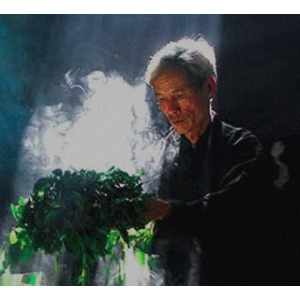 Все, что нужно знать о классификации чая